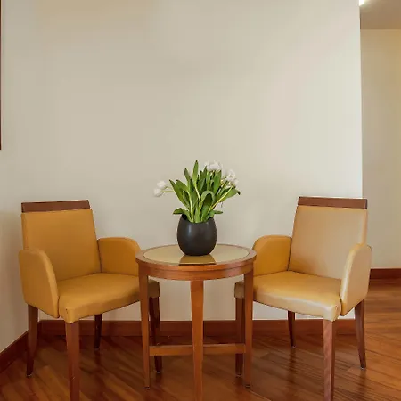 Versilia Palace 호텔 4*