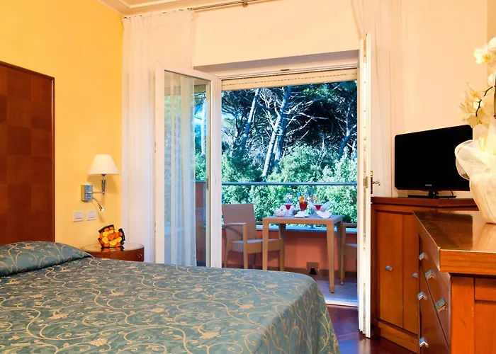 Hotel Versilia Palace 4*