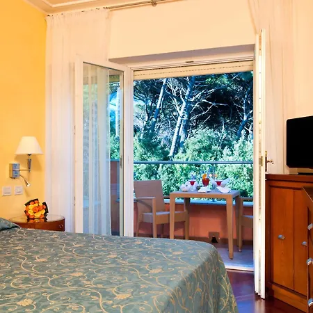 Hotel Versilia Palace 4*