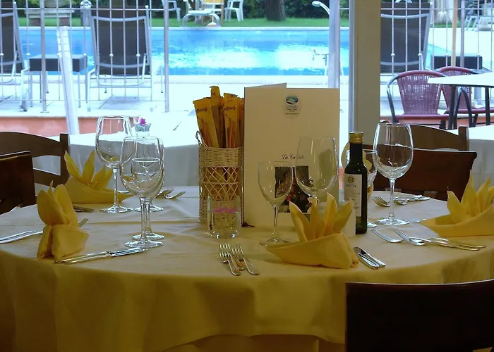 Hotel Versilia Palace