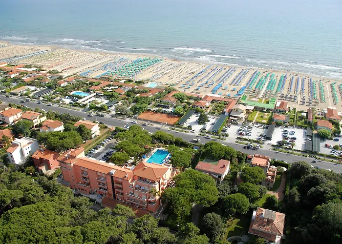 Versilia Palace Hotel 4*