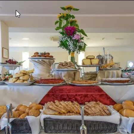 Hotel Versilia Palace 4*